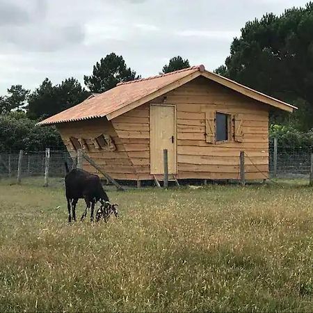 Gite - La Ferme A La Plage Le Porge Bagian luar foto