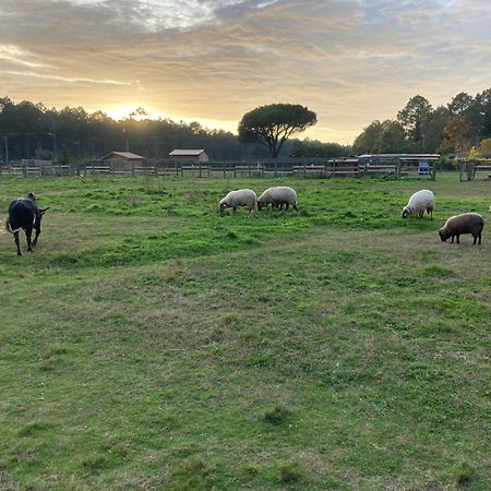Gite - La Ferme A La Plage Le Porge Bagian luar foto