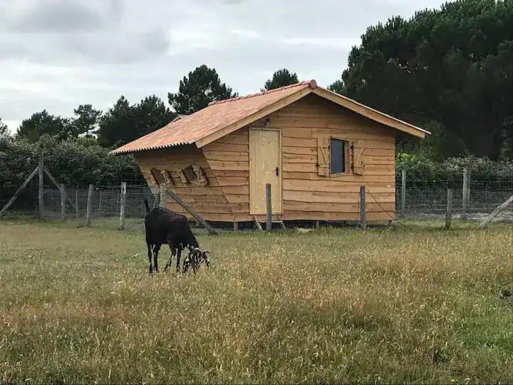 Gite - La Ferme A La Plage Le Porge Bagian luar foto
